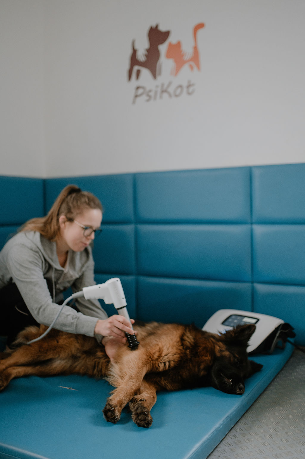 PsiKot – zdjęcie 37