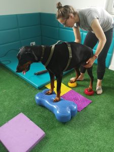 Kinezyterapia